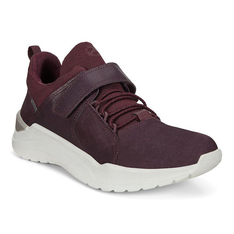 Kids Ecco Intervene - Sneakers Purple - India SNIDFH167